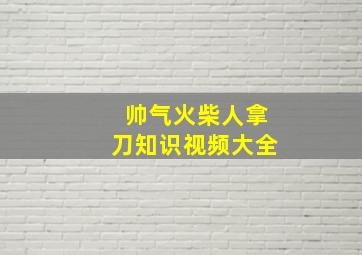 帅气火柴人拿刀知识视频大全