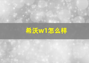 希沃w1怎么样