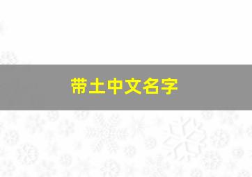 带土中文名字