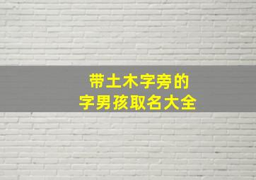 带土木字旁的字男孩取名大全