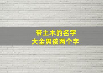 带土木的名字大全男孩两个字