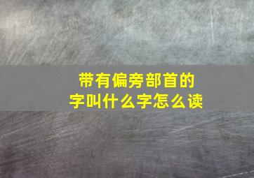 带有偏旁部首的字叫什么字怎么读