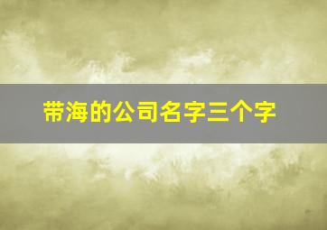 带海的公司名字三个字