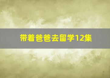 带着爸爸去留学12集