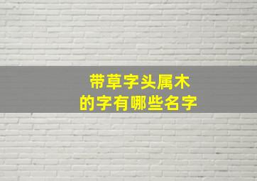 带草字头属木的字有哪些名字