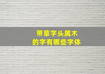 带草字头属木的字有哪些字体