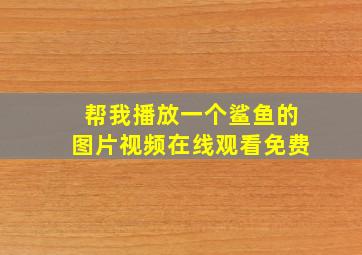 帮我播放一个鲨鱼的图片视频在线观看免费