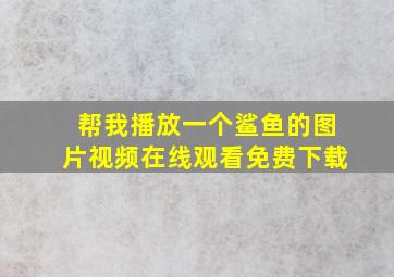 帮我播放一个鲨鱼的图片视频在线观看免费下载