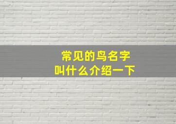 常见的鸟名字叫什么介绍一下