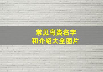 常见鸟类名字和介绍大全图片