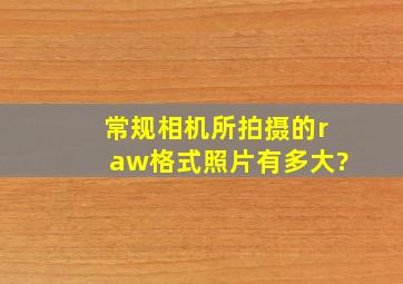 常规相机所拍摄的raw格式照片有多大?