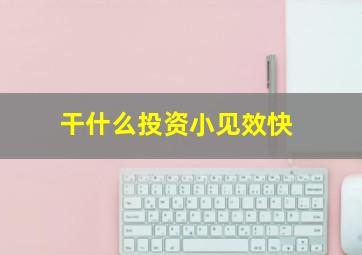 干什么投资小见效快