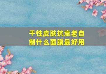 干性皮肤抗衰老自制什么面膜最好用