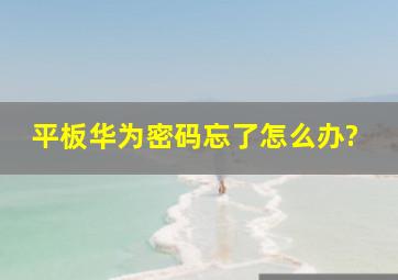 平板华为密码忘了怎么办?