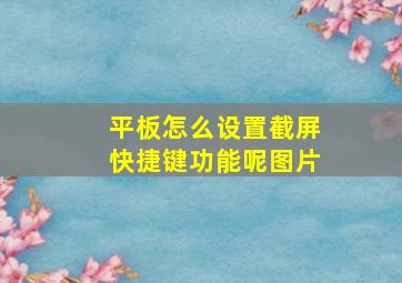 平板怎么设置截屏快捷键功能呢图片