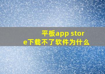 平板app store下载不了软件为什么