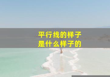 平行线的样子是什么样子的