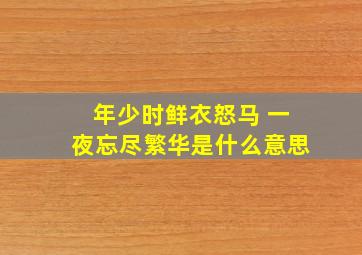 年少时鲜衣怒马 一夜忘尽繁华是什么意思