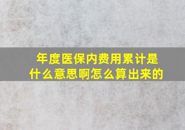 年度医保内费用累计是什么意思啊怎么算出来的