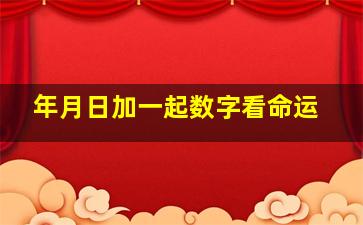 年月日加一起数字看命运