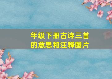 年级下册古诗三首的意思和注释图片