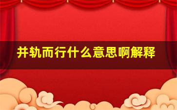 并轨而行什么意思啊解释