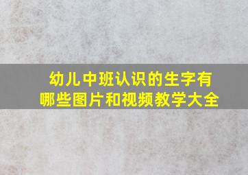 幼儿中班认识的生字有哪些图片和视频教学大全