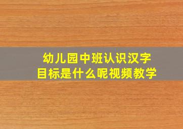 幼儿园中班认识汉字目标是什么呢视频教学