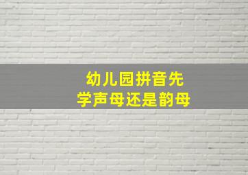 幼儿园拼音先学声母还是韵母