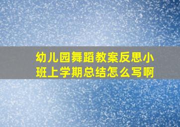 幼儿园舞蹈教案反思小班上学期总结怎么写啊