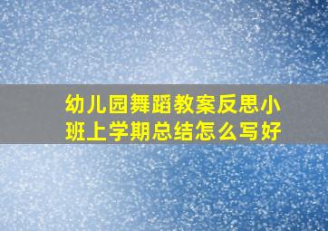 幼儿园舞蹈教案反思小班上学期总结怎么写好