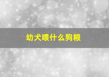 幼犬喂什么狗粮