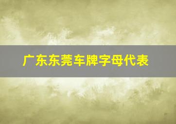 广东东莞车牌字母代表