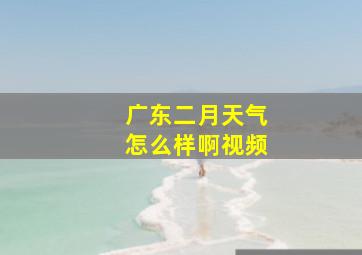 广东二月天气怎么样啊视频