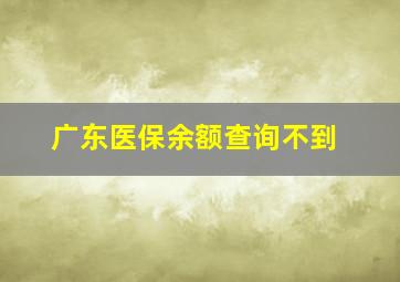 广东医保余额查询不到