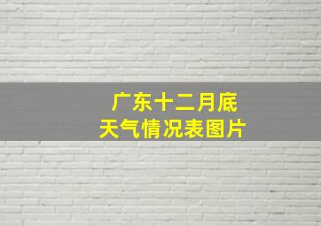 广东十二月底天气情况表图片