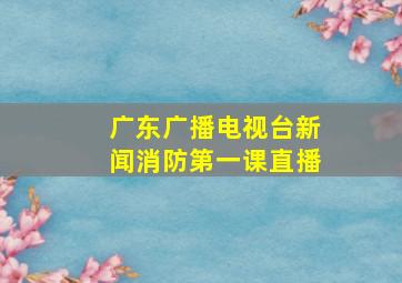 广东广播电视台新闻消防第一课直播