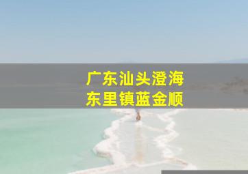 广东汕头澄海东里镇蓝金顺