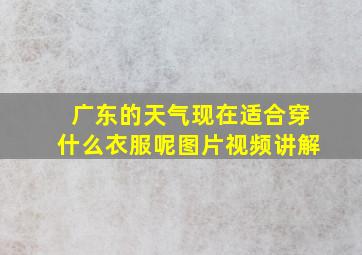 广东的天气现在适合穿什么衣服呢图片视频讲解