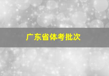 广东省体考批次