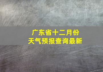 广东省十二月份天气预报查询最新