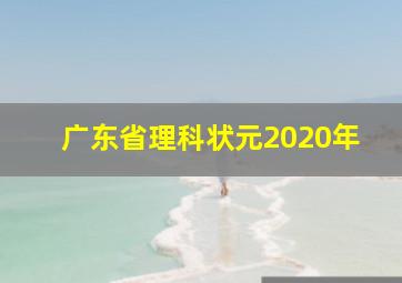 广东省理科状元2020年