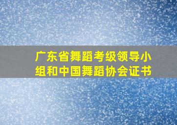 广东省舞蹈考级领导小组和中国舞蹈协会证书