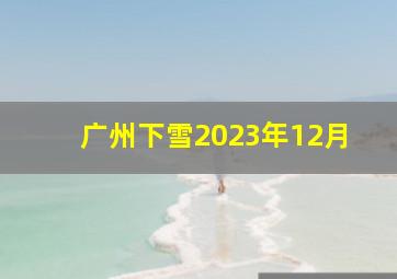 广州下雪2023年12月