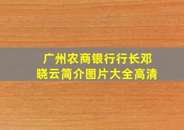 广州农商银行行长邓晓云简介图片大全高清