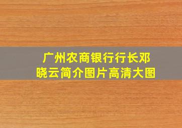 广州农商银行行长邓晓云简介图片高清大图