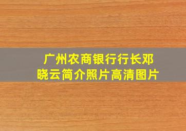 广州农商银行行长邓晓云简介照片高清图片