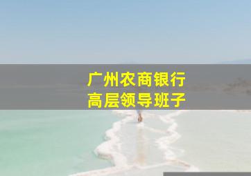 广州农商银行高层领导班子