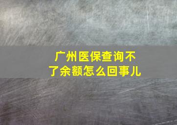 广州医保查询不了余额怎么回事儿