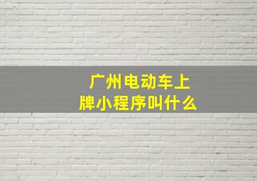 广州电动车上牌小程序叫什么